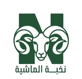 نخبة الماشية للذبائح